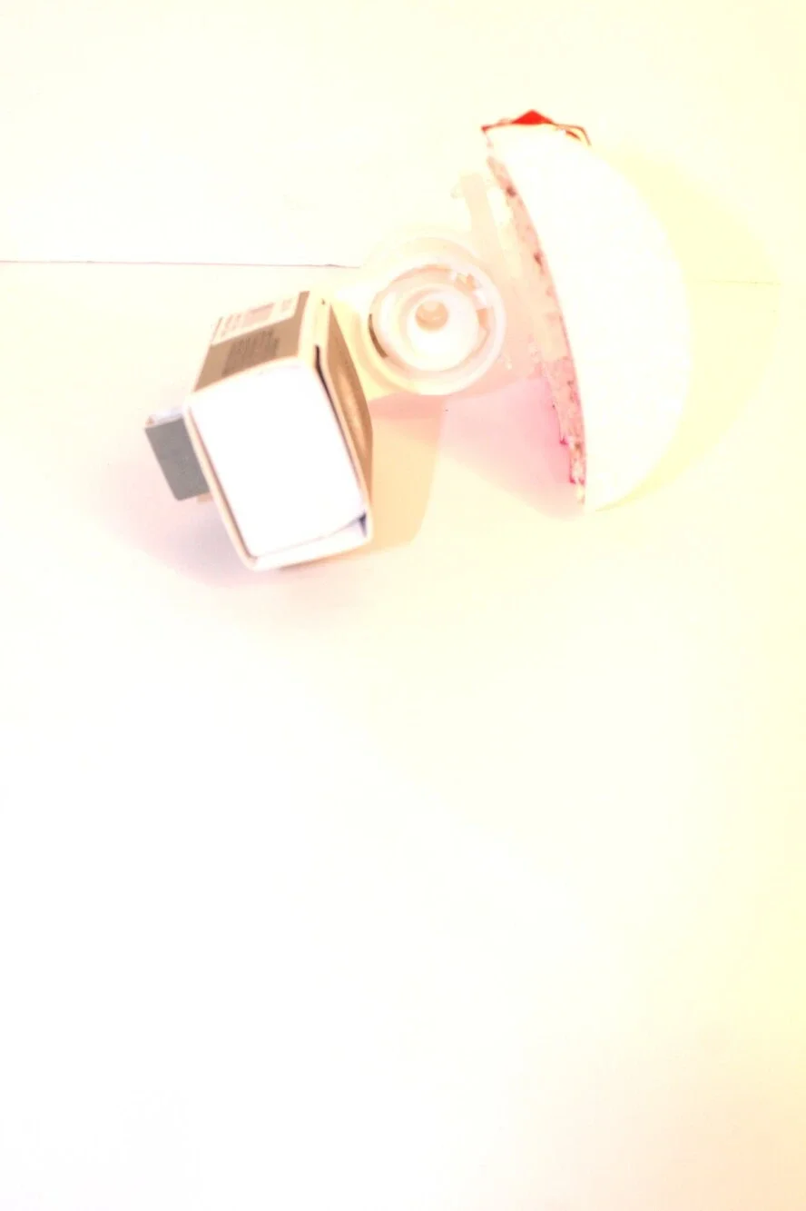 BATH & BODY WORKS White Barn Pink Trees Nightlight‎ Wallflowers Fragrance Plug